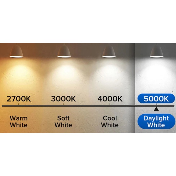 Lot of 8 Feit LED lightbulbs 5000K daylight - Picture 6 of 6